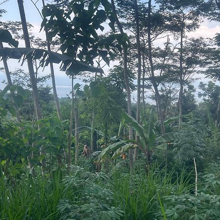Pondok Manca Undisan エクステリア 写真